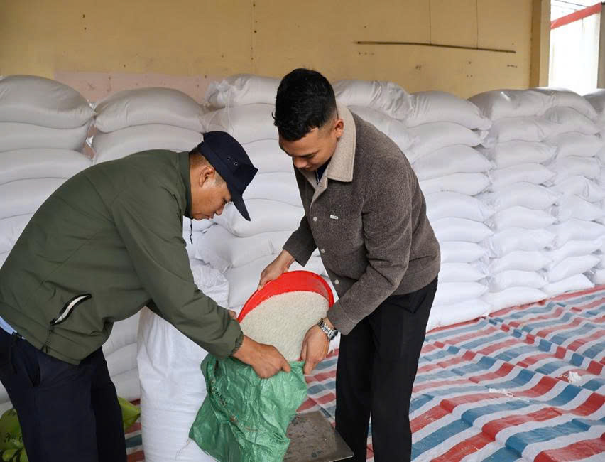 z7497349145176_55b691347751236bbac386da52849fab