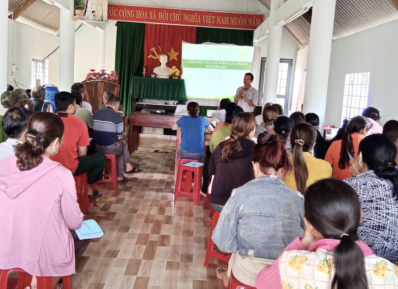 Tập huấn canh tác chăm sóc và phòng trừ sâu bệnh hại trên cây sầu riêng cho nông dân và lao động ở Buôn Kuaih.