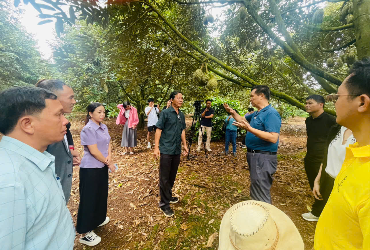 z6916006058246_57b33b2095ebd6fcbbf3e99ebe339c92