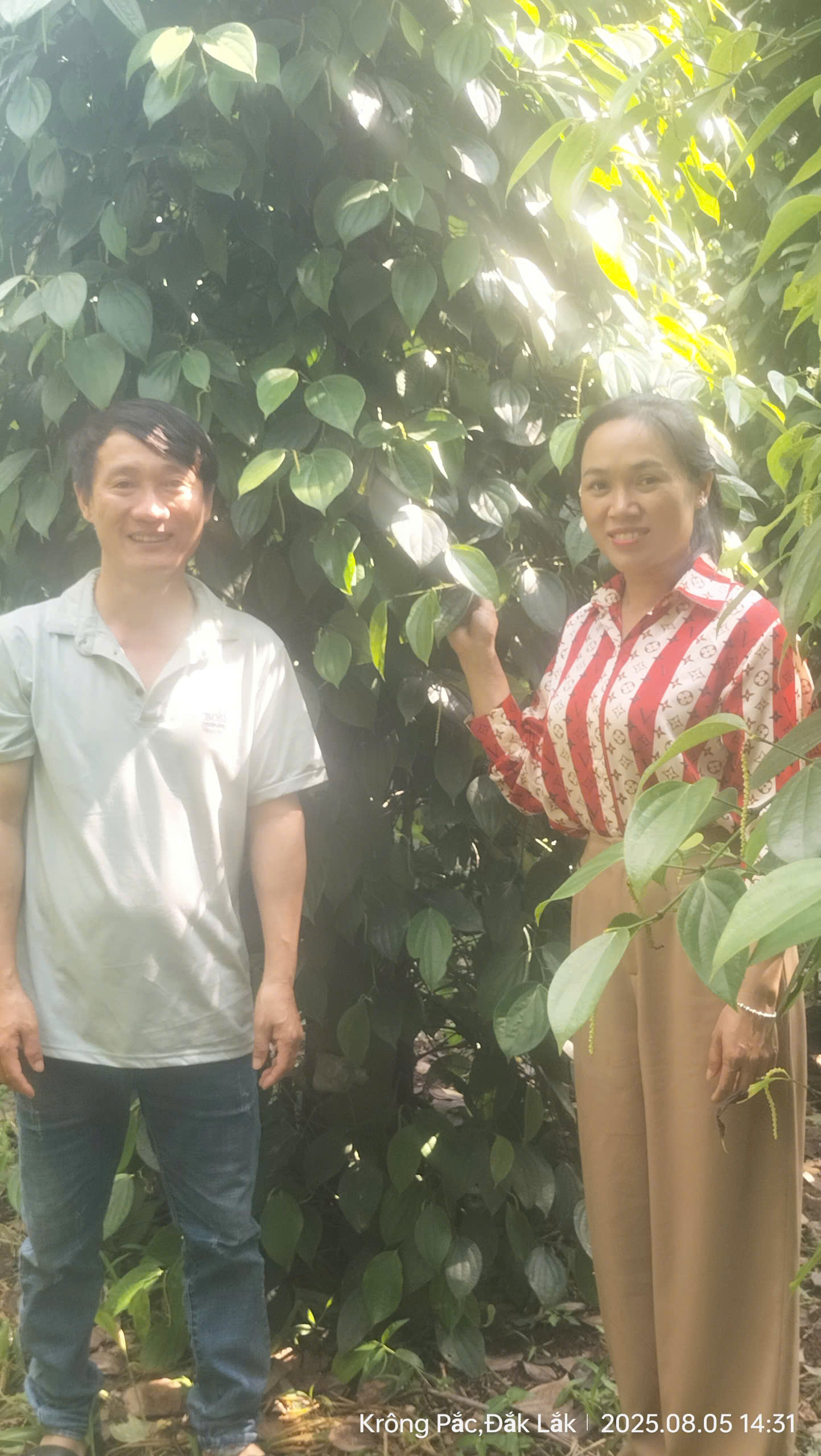 GƯƠNG NÔNG DÂN ĐIỂN HÌNH TRONG SẢN XUẤT, KINH DOANH GIỎI Ở XÃ EA KNUẾC, TỈNH ĐẮK LẮK