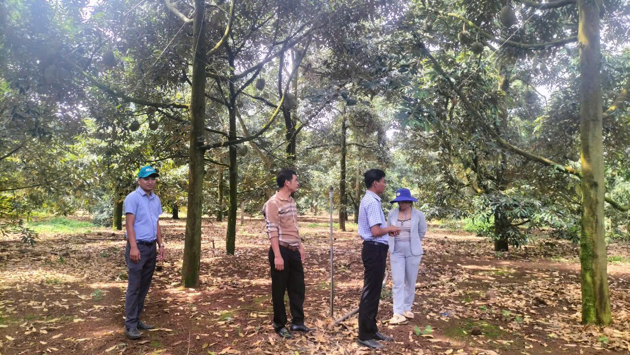 z6880804917609_de3c6fd4e957cfcbe9d9f484f0e2e0cf