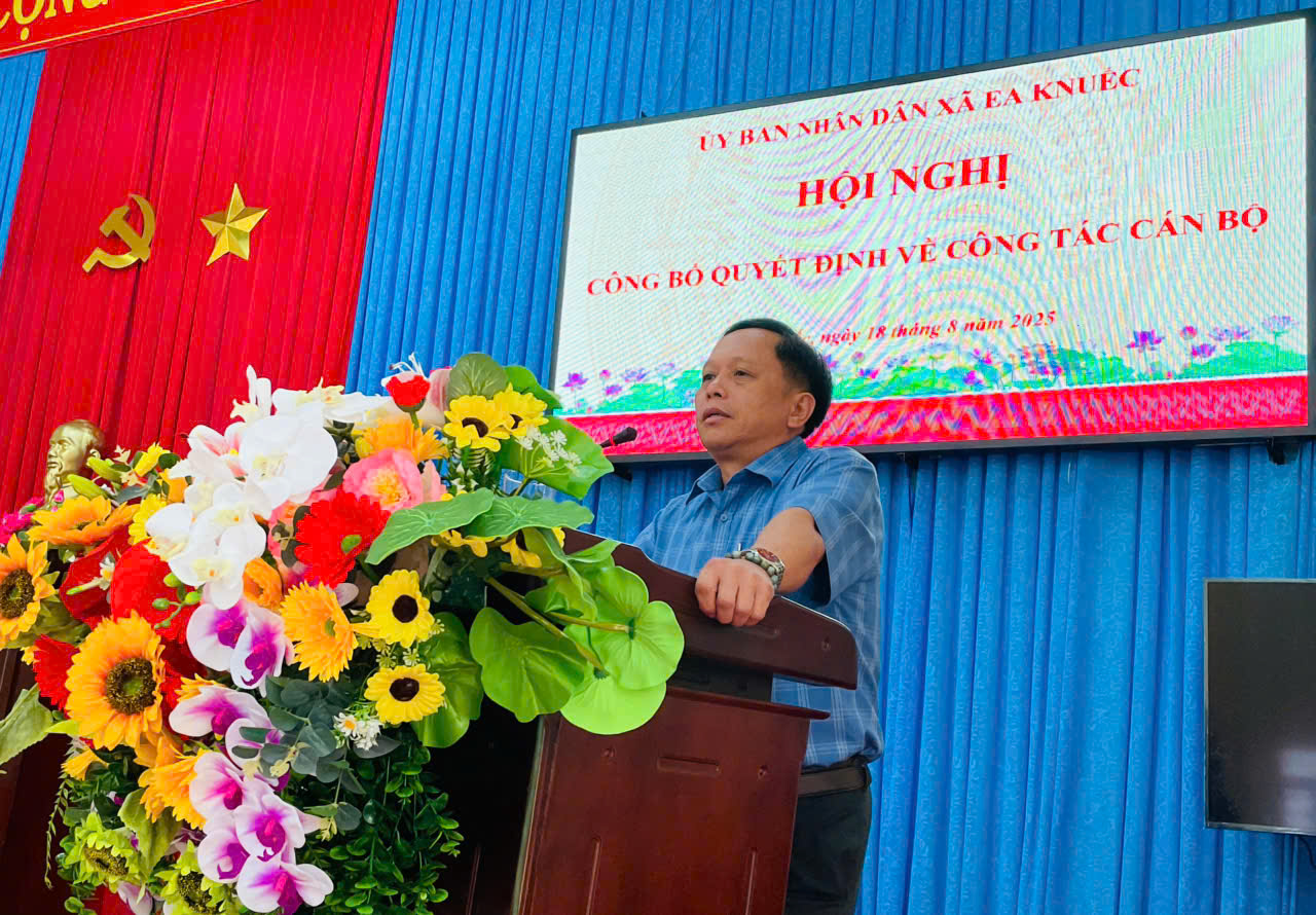 z6918103306557_34ab39c149bc8dc1247966959cd53655